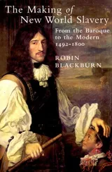 Cover of The Making of New World Slavery: From the Baroque to the Modern 1492-1800
