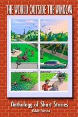Cover of The World Outside The Window