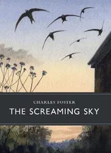 Cover of The Screaming Sky