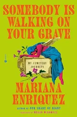 Cover of Somebody Is Walking on Your Grave