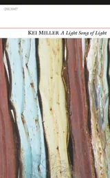 Cover of A Light Song of Light