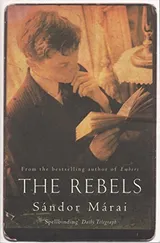 Cover of Rebels