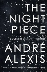 Cover of The Night Piece
