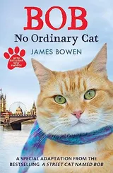 Cover of Bob: No Ordinary Cat