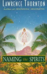Cover of Naming the Spirits
