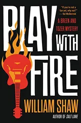 Cover of Play with Fire