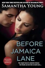 Cover of Before Jamaica Lane