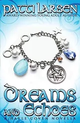 Cover of Dreams and Echoes