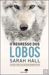 Cover of O regresso dos lobos