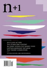 Cover of n+1 Issue 14: Awkward Age