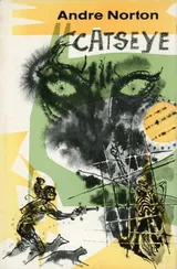 Cover of Catseye