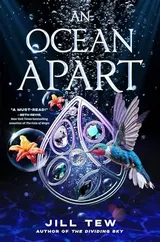 Cover of An Ocean Apart
