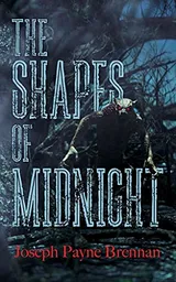 Cover of The Shapes of Midnight