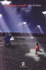Cover of Ossi di luna