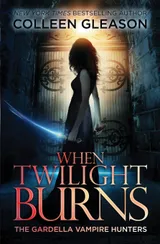 Cover of When Twilight Burns: The Gardella Vampire Hunters, 4