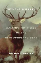 Cover of Into the Blizzard: Walking the Fields of the Newfoundland Dead