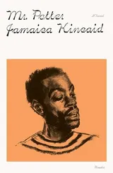 Cover of Mr Potter