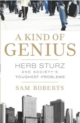 Cover of A Kind of Genius: Herb Sturz and Society's Toughest Problems