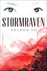 Cover of Stormraven