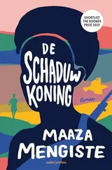 Cover of De schaduwkoning