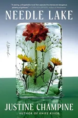 Cover of Needle Lake