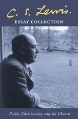 Cover of C.S. Lewis Essay Collection: Faith, Christianity and the Church