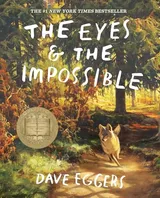 Cover of The Eyes & the Impossible