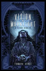 Cover of A Vision of Moonlight & Other Stories