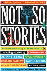 Cover of Not So Stories