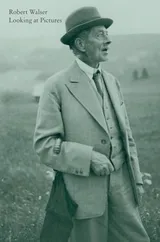 Cover of Looking at Pictures