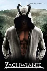 Cover of Zachwianie