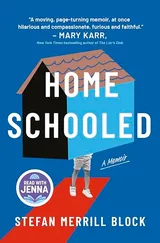 Cover of Homeschooled