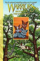 Cover of After the Flood