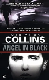 Cover of Angel in Black