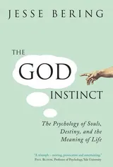 Cover of The God Instinct: The Psychology of Souls, Destiny, and the Meaning of Life