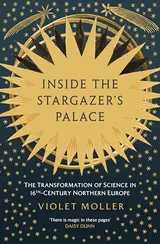 Cover of Inside the Stargazer's Palace: The Transformation of Science in 16th-Century Northern Europe