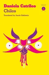 Cover of Chilco