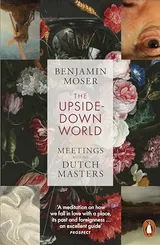 Cover of The Upside-Down World: Meetings with the Dutch Masters