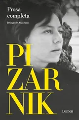 Cover of Prosa completa