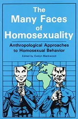 Cover of The Many Faces Of Homosexuality: Anthropological Approaches To Homosexual: Anthropological Approaches to Homosexual Behavior