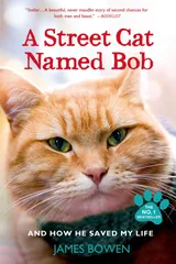 Cover of A Street Cat Named Bob: How One Man and His Cat Found Hope on the Streets