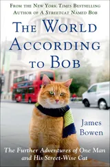 Cover of The World According to Bob: The Further Adventures of One Man and His Street-Wise Cat