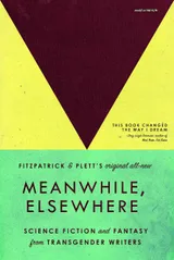 Cover of Meanwhile, Elsewhere: Science Fiction and Fantasy From Transgender Writers