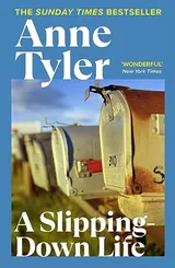 Cover of A Slipping-Down Life