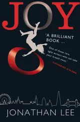 Cover of Joy