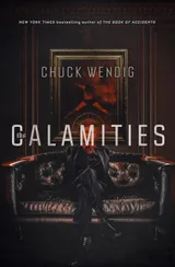 Cover of The Calamities