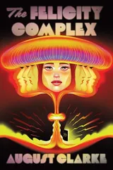 Cover of The Felicity Complex