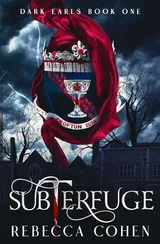 Cover of Subterfuge