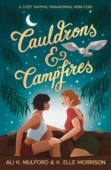 Cover of Cauldrons & Campfires