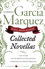 Cover of Collected Novellas